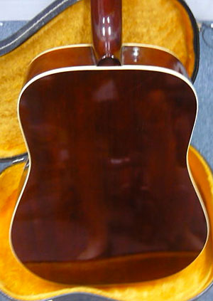 back of body