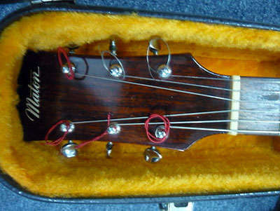peghead with Maton logo