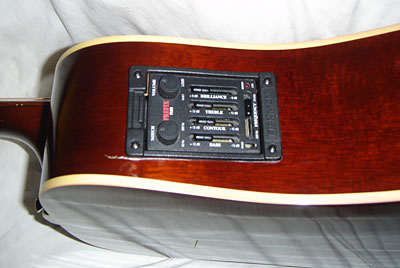Fishman pickup system and mahogany side