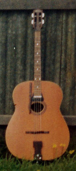 Maton Bindara bass