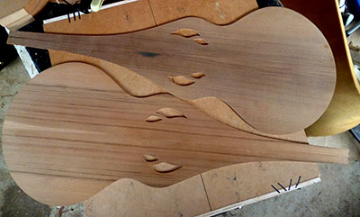 cedar tops