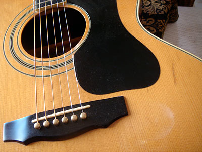 Guild F50R bridge