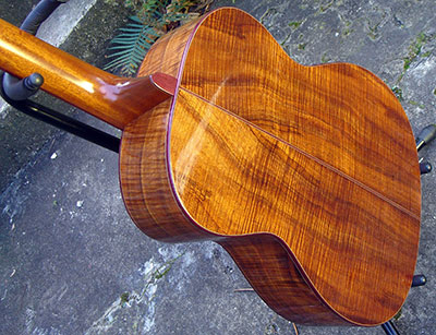 back of body