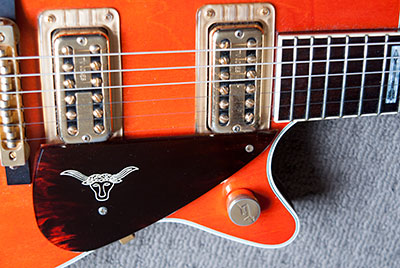 tortoise pick guard with sterr's head logo