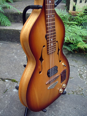 side view of body